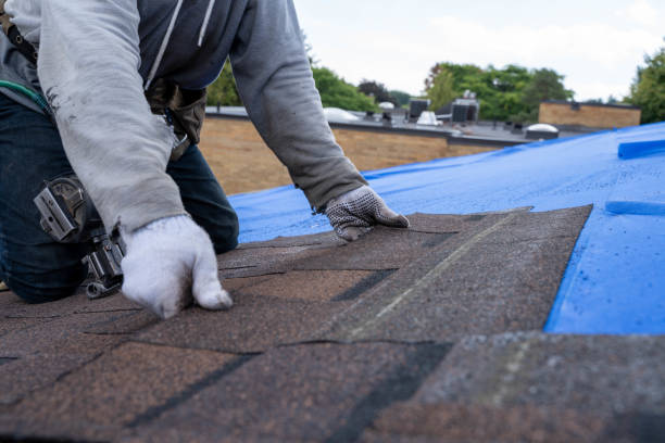 Best Best Roofing Contractors  in Greilickville, MI